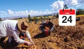 ¿Este 24 de junio es feriado a nivel nacional por el Día del Campesino? Revisa las fechas oficiales publicadas en El Peruano