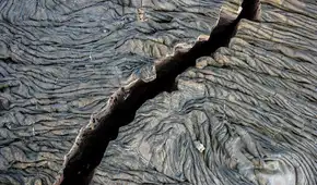 Un fenómeno geológico contagioso que se propaga entre las placas tectónicas provocaría terremotos y tsunamis