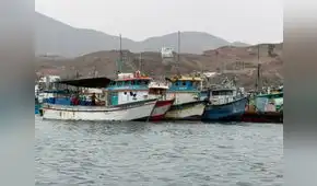 En Pucusana, pescadores artesanales acusan competencia desleal y depredación de flotas industriales
