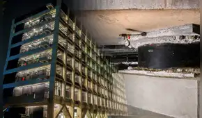 Así funciona la tecnología que protege a los edificios de los terremotos en América Latina y el mundo para evitar que colapsen