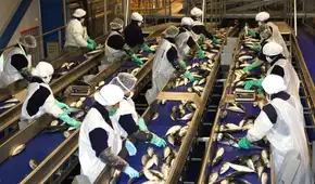 Fenómeno El Niño: manufactura perdería hasta S/350 millones diarios si se registra un evento fuerte