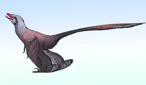 China descubre un nuevo dinosaurio con plumas: tenía 4 alas y una cola parecida a la de un pavo real