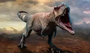 Investigadores recrean el olor de la boca del Tiranosaurio rex: "Una mezcla de aliento de perro con carne podrida"