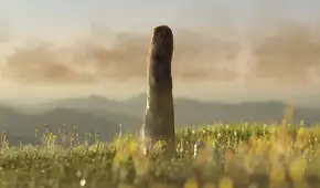 Medía 8 metros y no era animal ni vegetal: descubren un organismo de 420 millones de años que no pertenece a ningun reino conocido