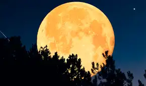 Calendario lunar julio 2026: cuándo ver la luna llena y cuáles serán las fases lunares de este mes