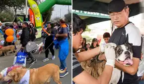 Este distrito de Lima organiza la Caminata Huellas 4K con atención veterinaria gratuita y campaña de esterilización para perros y gatos.