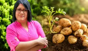 Científica peruana gana premio mundial de alimentación por crear papas biofortificadas para combatir la anemia