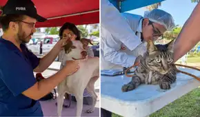 Municipalidad de Lima realizará campaña veterinaria gratuita para mascotas este 9 de julio: conoce dónde será y qué servicios ofrecerá