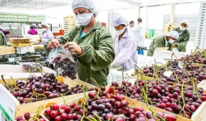Perú superó los US$15.000 millones en agroexportaciones en 2025