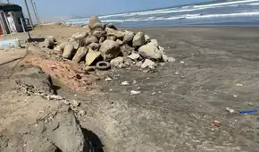 Fenómeno El Niño arrasa con la vida de aves marinas en Piura, Lambayeque y Trujillo