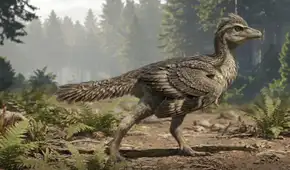 China descubre el ‘eslabón perdido’ de las aves: un fósil revela cómo perdieron sus colas de dinosaurio