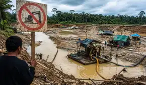 Entre el crimen organizado y la deuda con la Amazonía: los desafíos ambientales del próximo gobierno