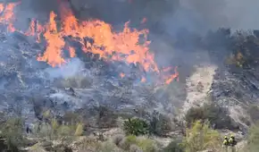 España enfrenta uno de los incendios más mortíferos de su historia con al menos 12 muertos y 23 desaparecidos