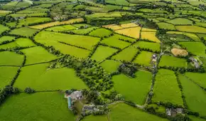 El hallazgo arqueológico de la Edad del Bronce que reescribe el origen urbano de Europa: surgió en Irlanda hace más de 3.000 años