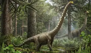 Paleontólogos identifican una nueva especie de dinosaurio gigante gracias a un pequeño hueso
