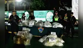 PNP decomisó más de 62 toneladas de droga en solo seis meses