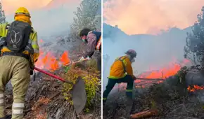 Capturan a presunto responsable del incendio en Sacsayhuamán: fuego consumió tres hectáreas de cultivos de café y cacao en Cusco