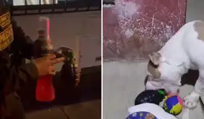 Vecinos de Los Olivos confunden un juguete para perro con una granada de guerra y generan alerta policial