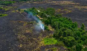 Amazonía en alerta por fenómeno de El Niño: estudio advierte mayor riesgo de incendios forestales