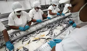 PBI peruano desacelera a 1,8% en mayo tras desplome de la pesca y caída de la manufactura