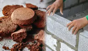 Los residuos de café son un tesoro: descubren un uso innovador que cambiaría la industria de la construcción