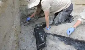 Arqueólogos descubren una estructura de madera de 476.000 años de antiguedad que no fue construida por Homo sapiens