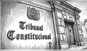 El legislador y los derechos sociales fundamentales