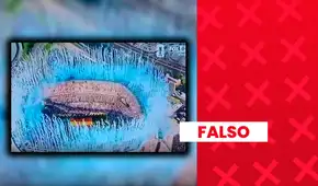Es falso que el video de los fuegos artificiales en la celebración de España por el Mundial muestre los colores de Argentina