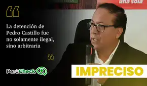 ¿La ONU declaró "arbitraria e ilegal" la detención de Pedro Castillo y exigió su liberación inmediata?