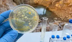 Científicos descubren bacterias capaces de inmovilizar hasta el 96% del uranio y abren una nueva vía para descontaminar el agua.