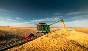 Este país de América Latina rompe todos los récords con la mayor cosecha de maíz de su historia: supera los 70 millones de toneladas