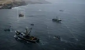 Gobiernos regionales aún no cuentan con monitoreo satelital para fiscalizar la pesca ilegal en el Perú