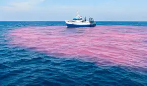 Científicos vierten 16.500 galones de soda cáustica y tiñen de rosa una parte del océano en un experimento contra el cambio climático