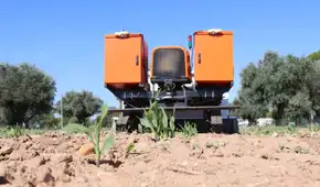 El país europeo que apuesta por un láser con inteligencia artificial para reemplazar los pesticidas en sus cultivos