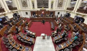 La delegación de facultades legislativas en el Congreso bicameral
