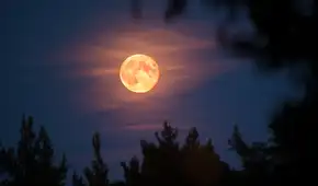 Calendario lunar agosto 2026: cuando ver la próxima luna llena y las fases lunares