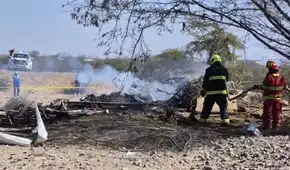 Nasca: realizarán pruebas de ADN a los 11 turistas extranjeros fallecidos en trágico accidente aéreo