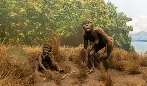 Científicos encuentran rastros de 2 homininos arcaicos desconocidos en el ADN humano