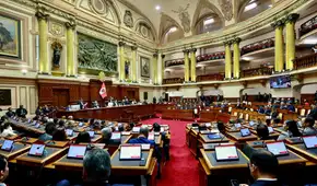 Congreso: Cámara de Diputados tendrá comisiones de más de 20 integrantes y el Senado de 12