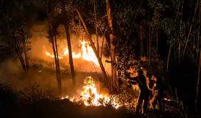 Áncash en alerta por incendios forestales: 47 emergencias han destruido más de 500 hectáreas en lo que va del año