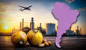 Una fruta podría convertirse en combustible para aviones: este país de América Latina invertirá US$3.000 millones en el plan