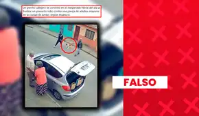Video de perrito callejero enfrentándose a delincuentes “que pretendían asaltar a dos adultos mayores en Huánuco” no corresponde a un hecho real: se elaboró con IA