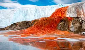Las misteriosas "Cataratas de Sangre" de la Antártida esconden un secreto de casi 2 millones de años: hallan antigua vida marina