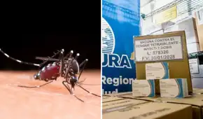 Minsa refuerza vacunación contra el dengue con casi 200.000 dosis enviadas a siete regiones del Perú