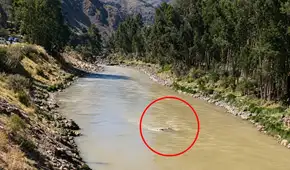 Carretera Central: auto colectivo que salió de Huaycán a Jauja cayó al río Mantaro y deja dos personas desaparecidas