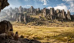 Un paisaje de otro mundo se esconde en Perú: su bosque volcánico refugió a los primeros cazadores andinos hace 10.000 años