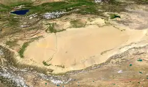 China lleva 50 años plantando árboles en el desierto de Taklamakán: ahora los satélites muestran que el paisaje absorbe más carbono del que libera