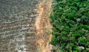 Brasil recibiría un mayor impacto de El Niño tras perder una vegetación dos veces mayor que toda Francia, según estudio