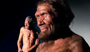 Científicos afirman que el gen neandertal aún moldea los músculos y las mandíbulas en los humanos modernos