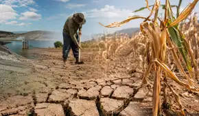 Déficit hídrico amenaza al agro: 607 distritos de 16 regiones quedan bajo estado de emergencia
